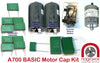 Revox A700 BASIC Electronic capacitor kit